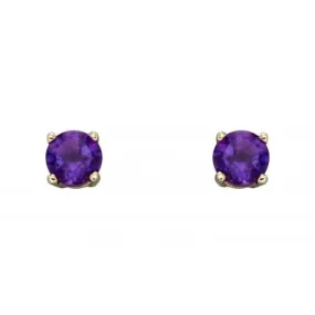 9ct February Amethyst 4mm Stud Earrings GE2327