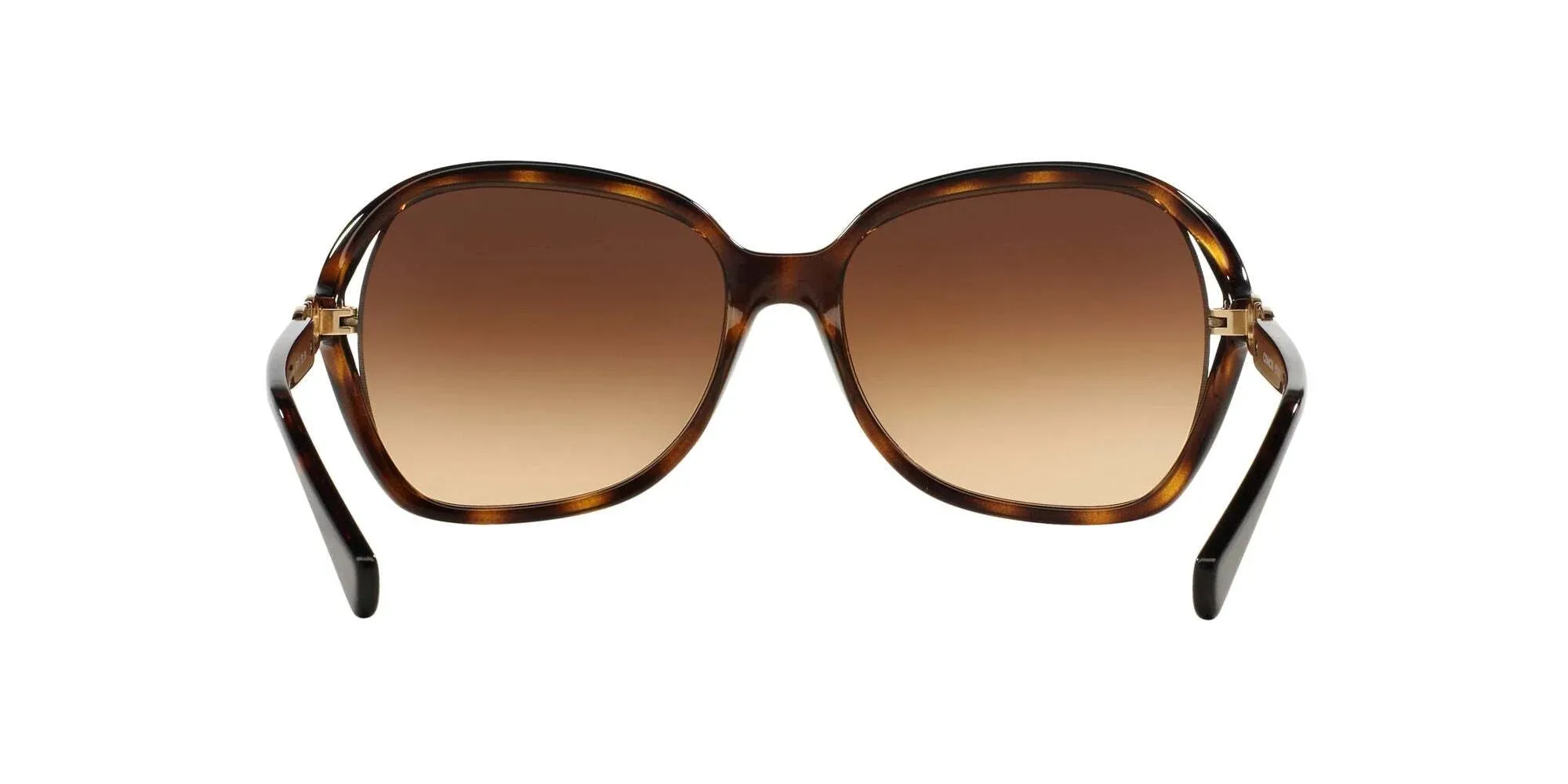 Coach L948 HC8145 Sunglasses