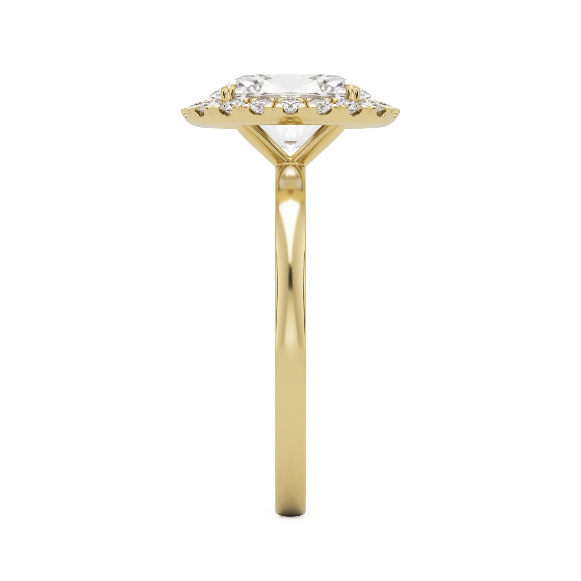 The Oval Halo